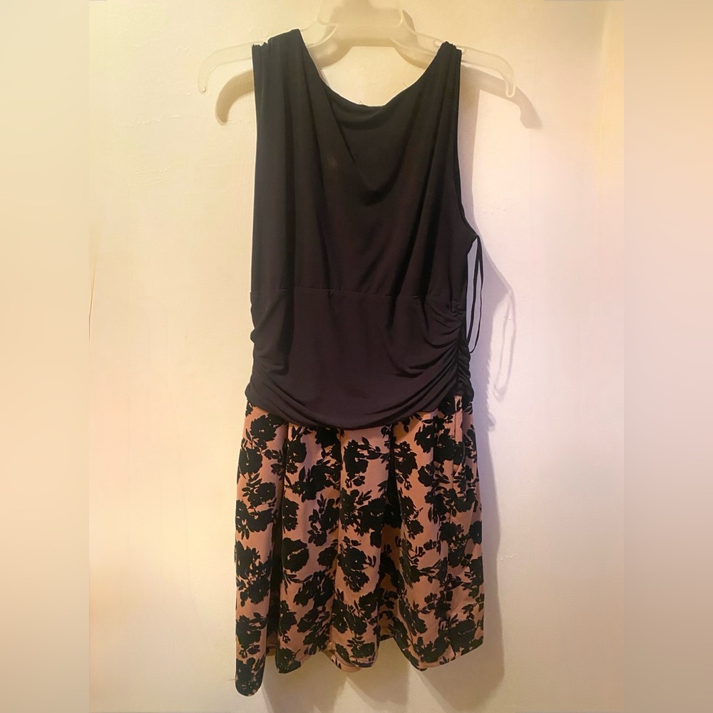 16W Enfocus Women's Black and Pink Floral Dress